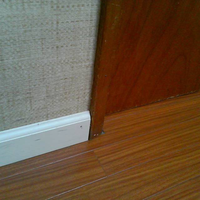 [PICT0005.jpg]