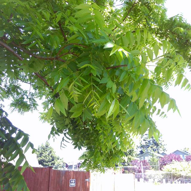 [PICT0018.jpg]