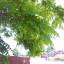 PICT0018.jpg