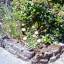 PICT0025.jpg